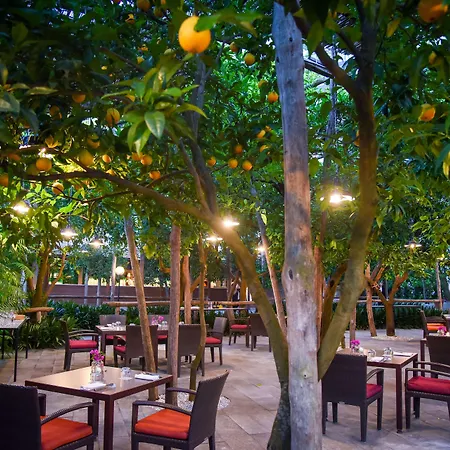 Hilton Palace Hotell Sorrento