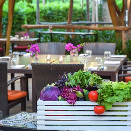 Hilton Palace Hotell 4*