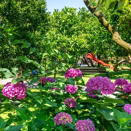 Hilton Palace Hotell Sorrento