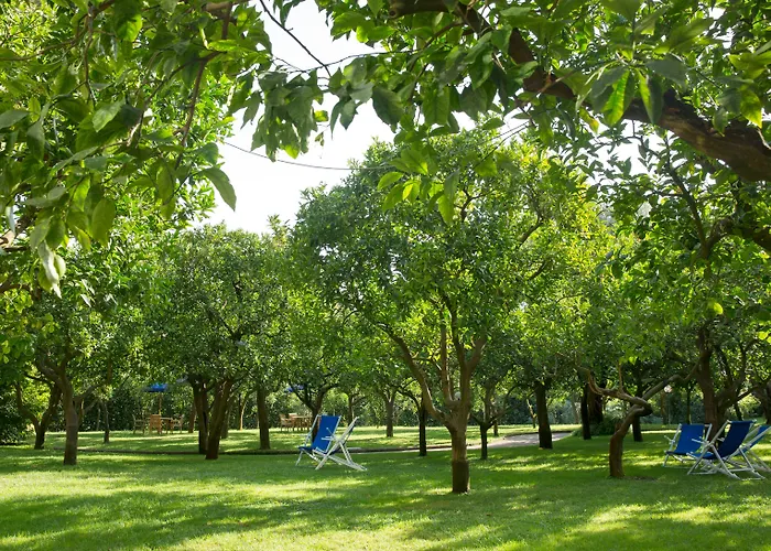 Hotel Hilton Palace Sorrento