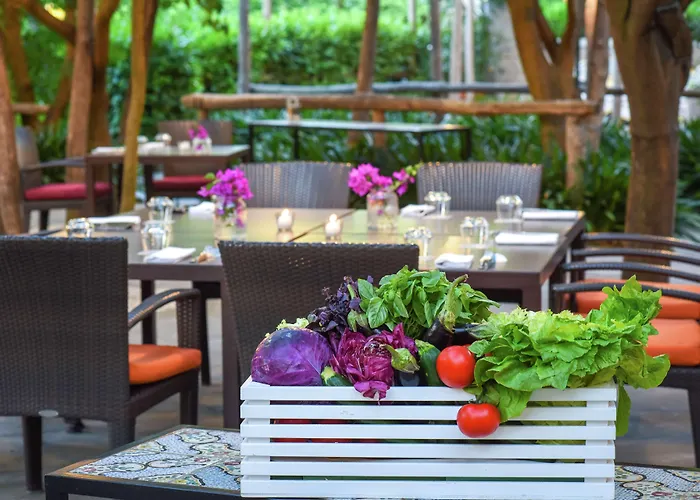 هيلتون بالاس فندق 4*