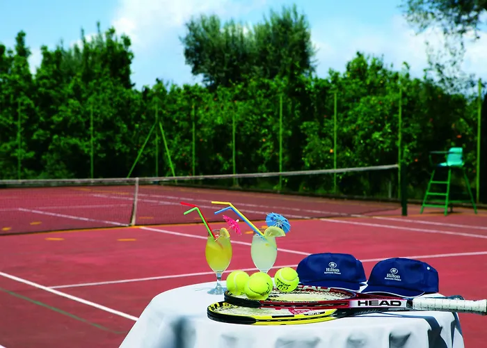 هيلتون بالاس 4*